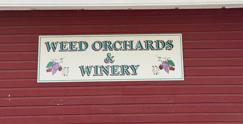 Weed Orchards and Winery