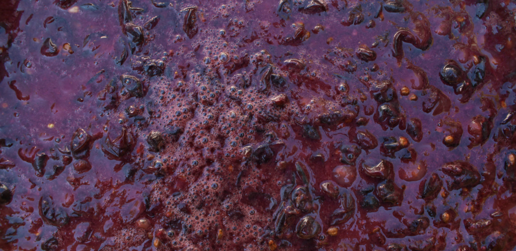 wine making process with grape skins in tact