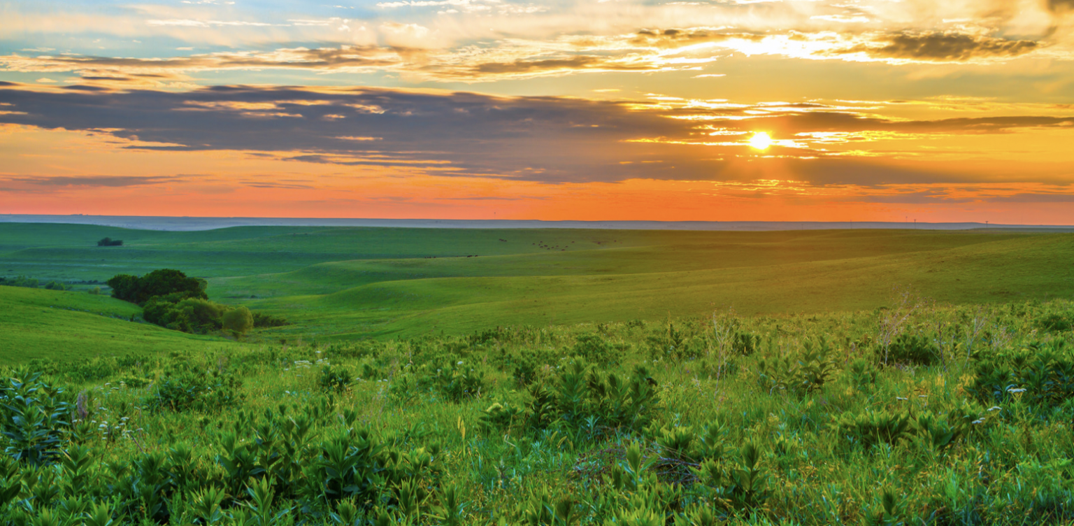 The 10 Best Wineries in Kansas to Visit Choice Wineries