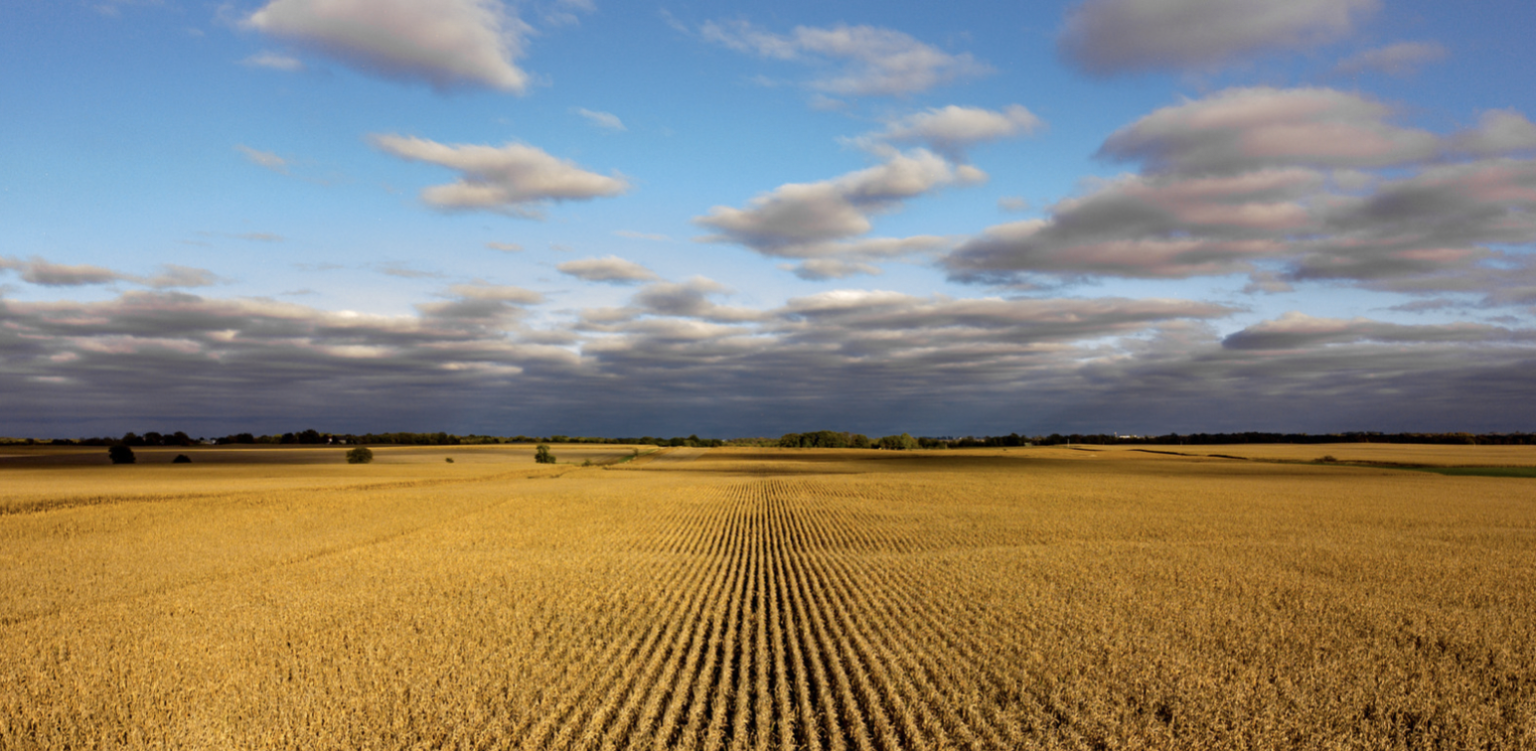 The 10 Best Wineries in Nebraska to Visit Choice Wineries