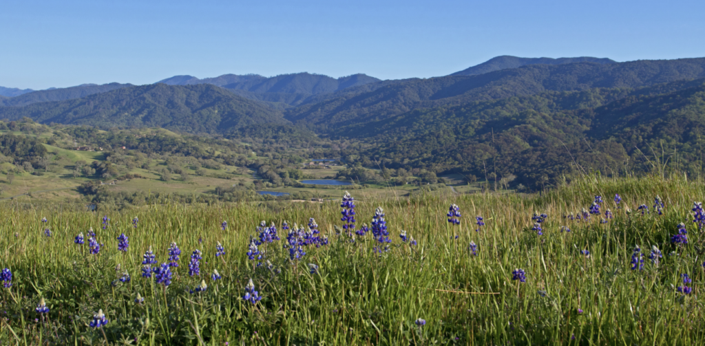 scenic Carmel Valley California 