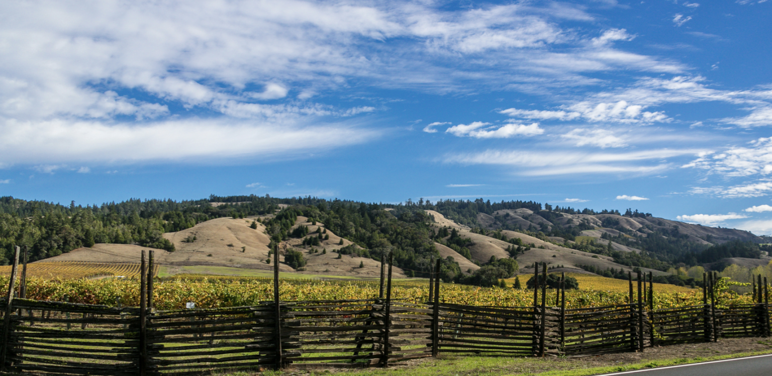 Best Wineries in Anderson Valley