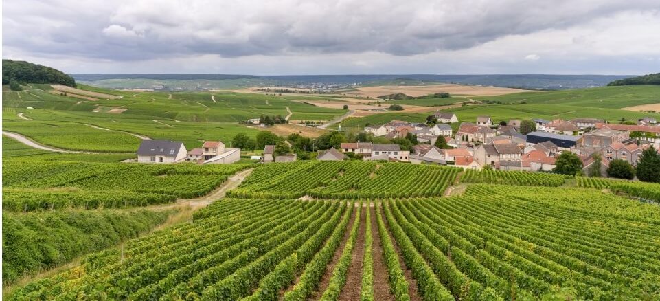 Best Champagne Tours From Paris