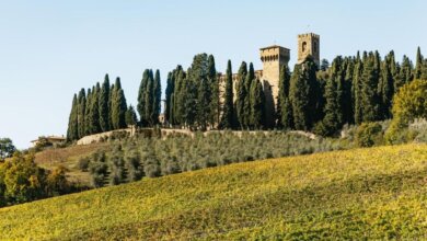 Best Chianti Wine Tours From Florence