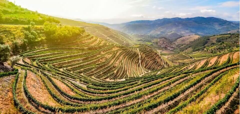 Best Douro Valley Wine Tours