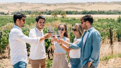 Best Madrid Wine Tours