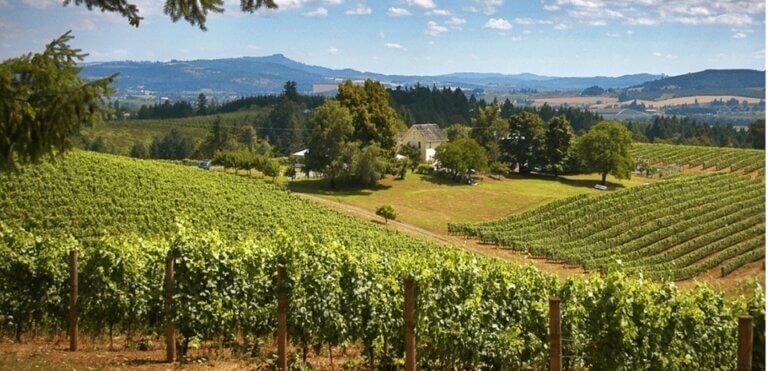 Willamette Valley Wines Top 10 – YOFU