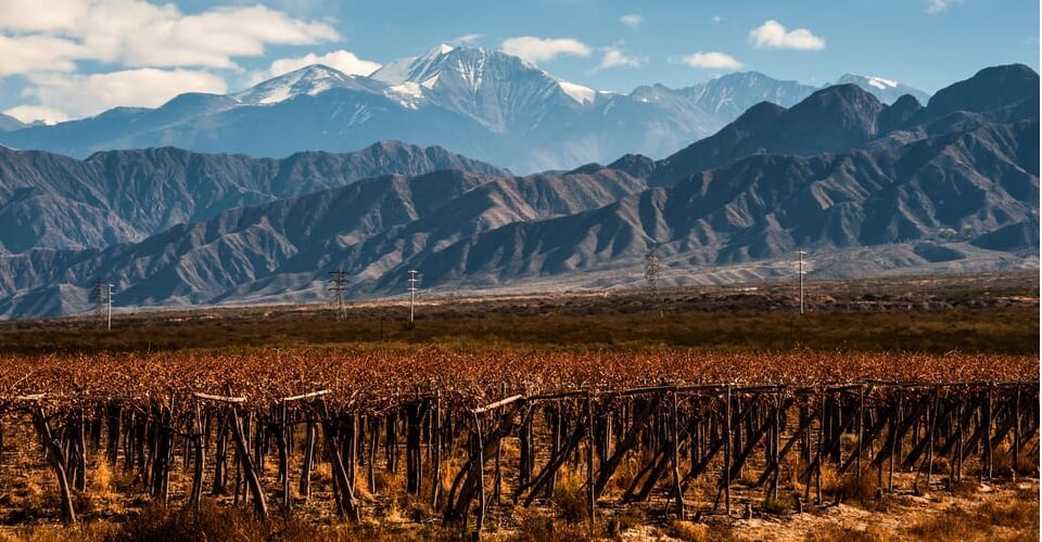 Best Mendoza Wine Tours