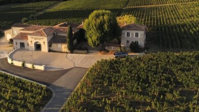 Best Saint Emilion Wine Tours From Bordeaux