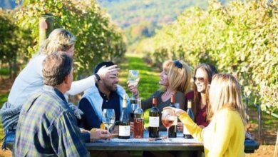 Best Santiago Wine Tours