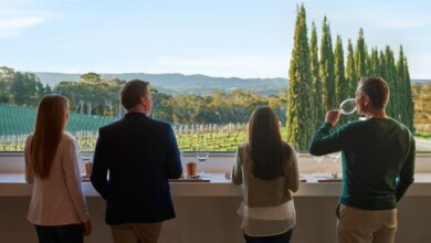 Best Barossa Valley Wine Tours