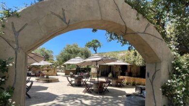 Best Santa Barbara Wine Tours