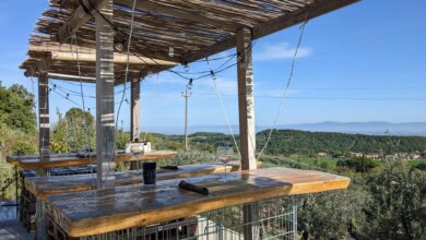 Best Montepulciano Wine Tours