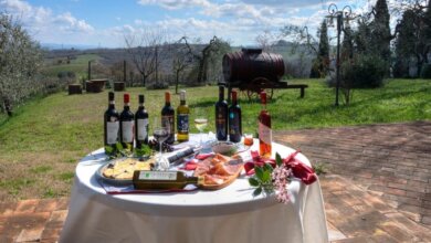 Best Temecula Wine Tours