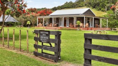 Best Waiheke Island Wine Tours