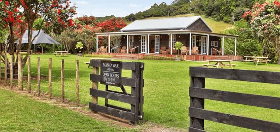 Best Waiheke Island Wine Tours
