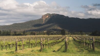 Best Hunter Valley Wine Tours