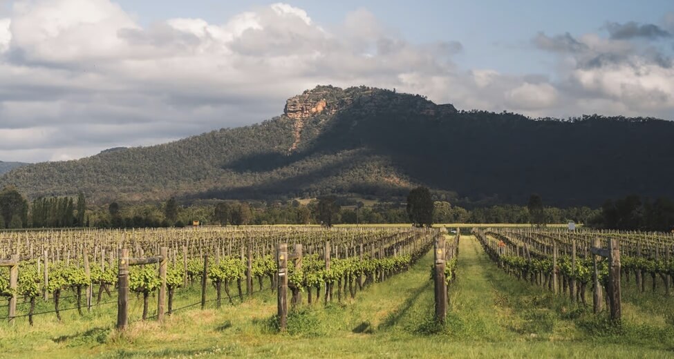 Best Hunter Valley Wine Tours