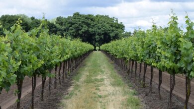 Dutchess County Wine Trail