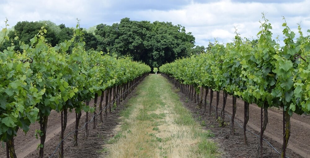 Dutchess County Wine Trail