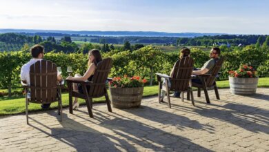 Best Traverse City Wine Tours