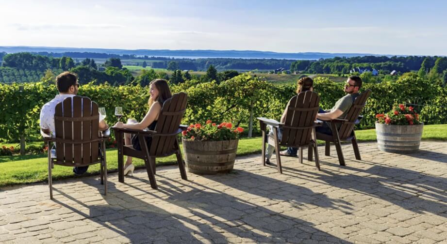 Best Traverse City Wine Tours