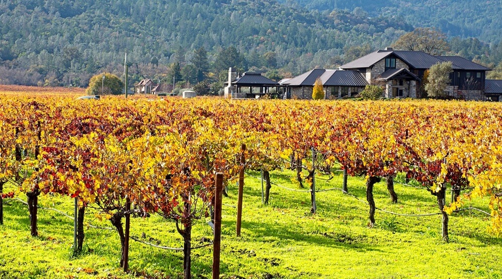 Guide to Visiting Napa Valley
