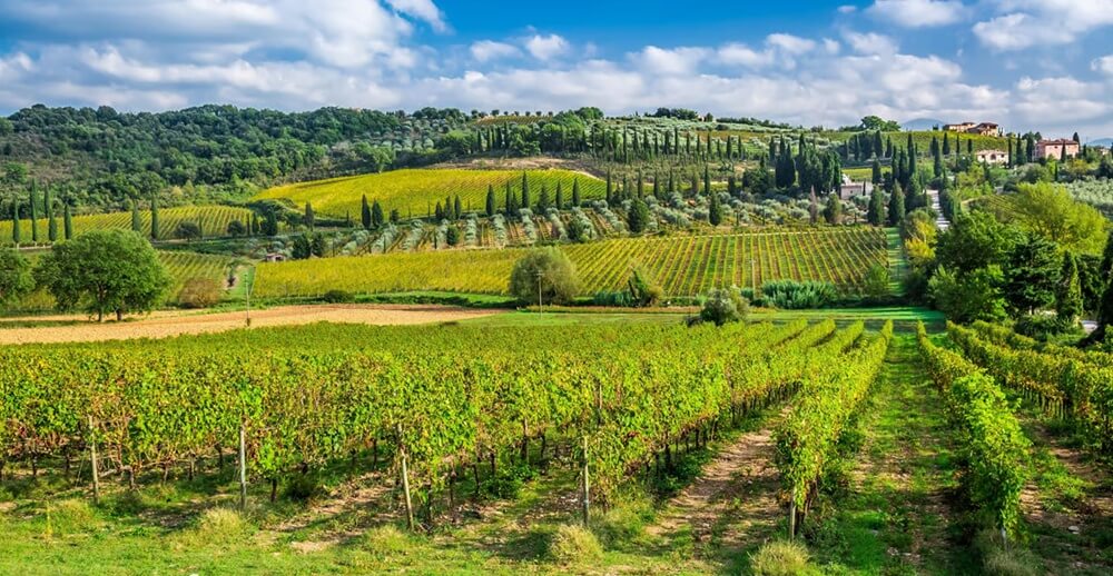 Best Private Tuscany Wine Tours